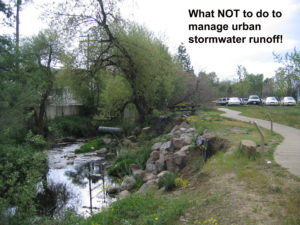 Incised Urban Creek Channel